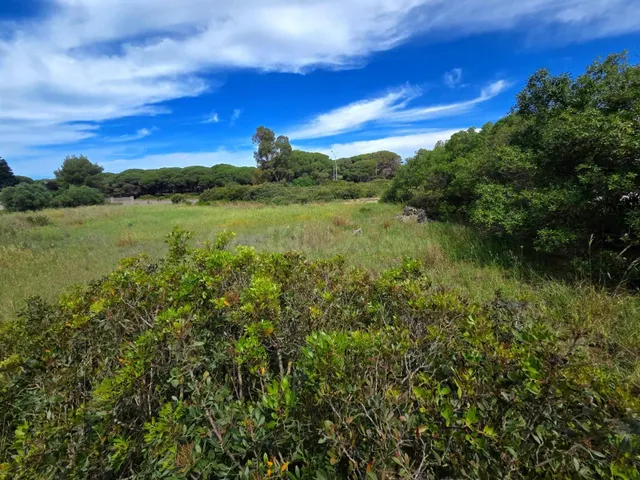 PARCELA EN VENTA EN CAMPANO - 2.625 M2 SEGREGADA A PIE DE CA - foto 4