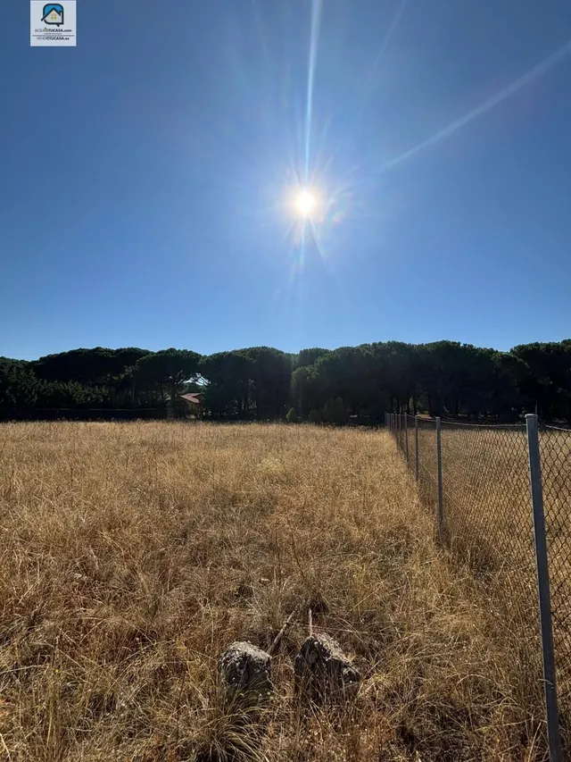 Parcela en urbanización dehesa de peñalba — 9
