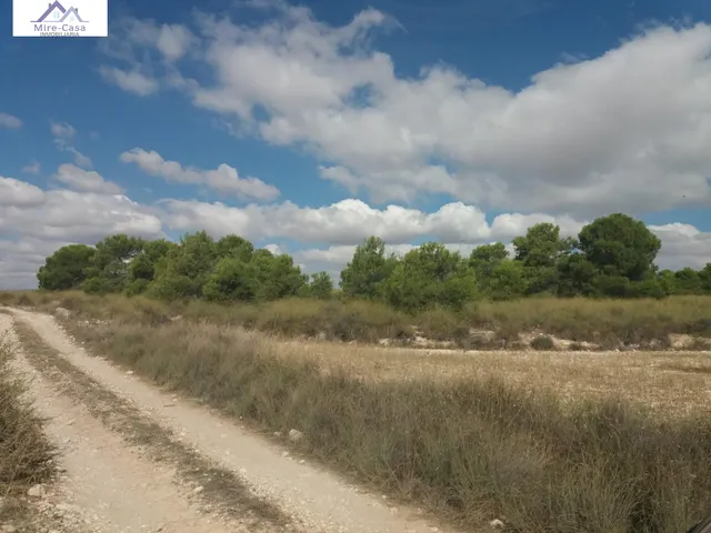 Se vende parcela en zona casa carrillo en tobarra — 6