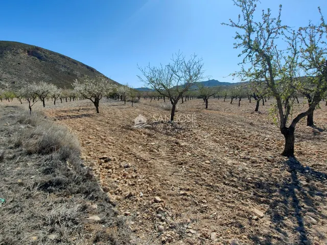 SE VENDE PARCELA CON PRODUCCION DE ALMENDROS AL LADO DEL PUEBLO DE BARBARROJA — 8
