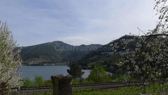 Casa a reformar en Ribadavia - foto 5