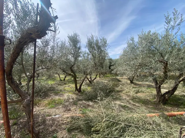 Cortijo muy cerca de pueblo de Tíjola — 9