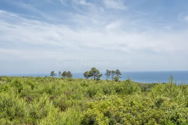Parcela 35m² en venta - Montañar I — 2