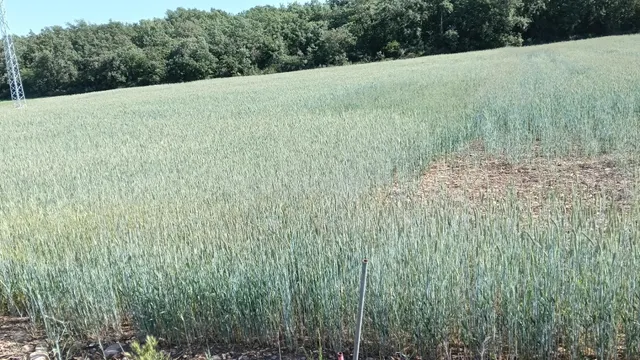Finca rústica en Ibeas de Juarros - foto 5