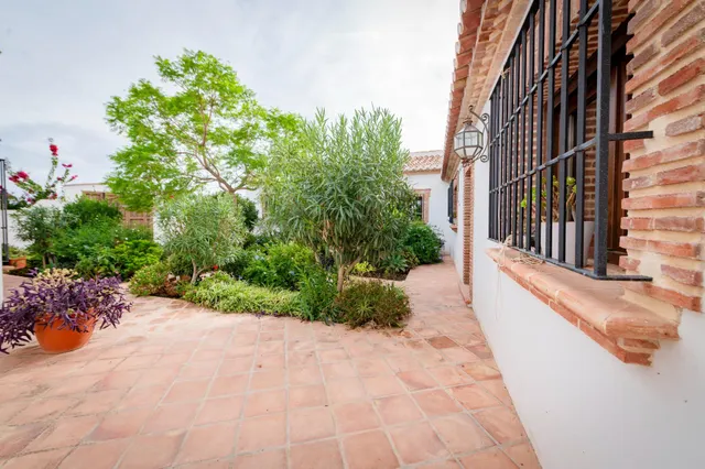 Casa de Campo Reformada en Villanueva de la Concepción: Paz, Elegancia y Vistas Únicas — 8