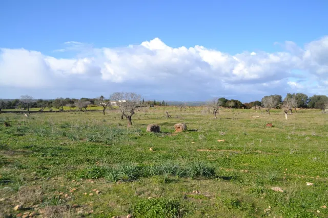 Finca rústica en Manacor — 4