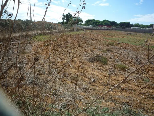 Terreno en el Pinar de la Villa cercano a la Ermita Virgen d - foto 5
