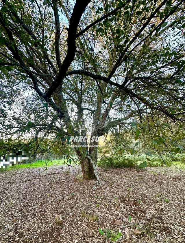 PARCELA EN ZONA ASSUAN MUY BIEN SITUADA DE 6000 m2 aprox. — 5