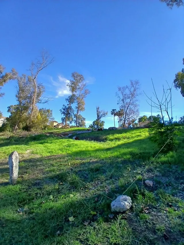 Terreno edificable con licencia en Guadalmina Marbella — 10