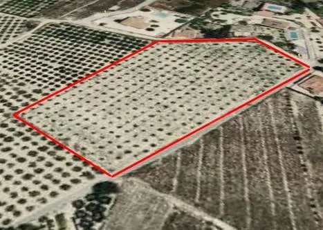 ¡Oportunidad única! Parcela rústica de 12.157 m2 en El Rebol