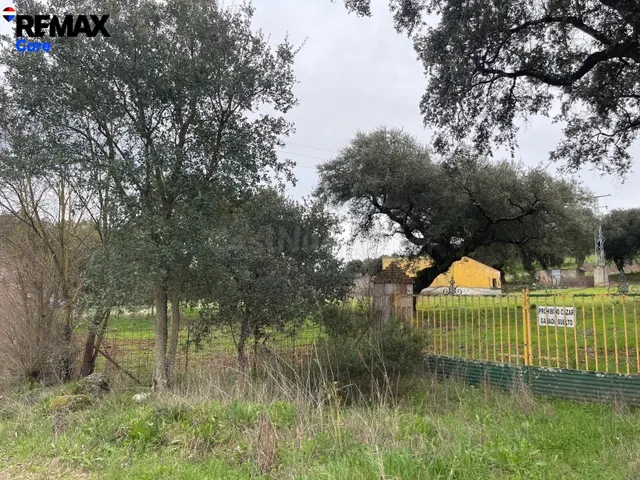 Dehesa Extremeña en Jerez de los Caballeros - foto 5