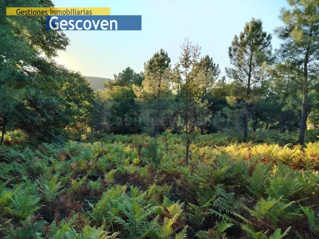 EXTRAORDINARIA Y HERMOSA FINCA RUSTICA CON NATURALEZA Y MONT - foto 4