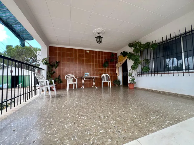 FINCA CON PISCINA, HUERTO, POZO Y VIVIENDA - foto 4