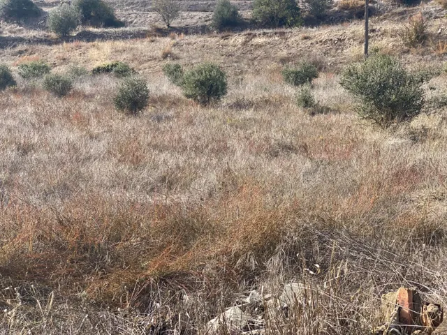 Terreno Urbanizable  en Torrefeta i florejacs, a 3km de Guissona — 13