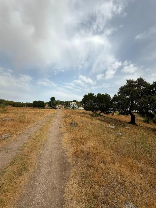 Terreno Rústico de 35 fanegas en FINCA LA SERENA! — 5