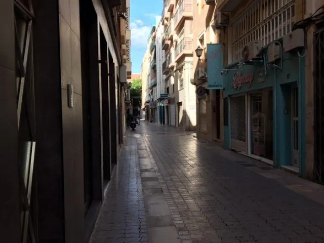 LOCAL COMERCIAL EN ELCHE, ZONA PLAZA DE LAS FLORES — 12