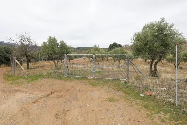 Magnífica finca de 400 olivos en Monachil — 12