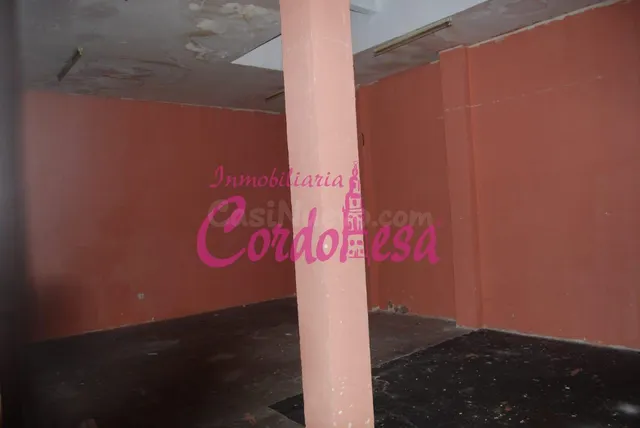 Local comercial 280m² en venta - Ciudad Jardín - foto 3