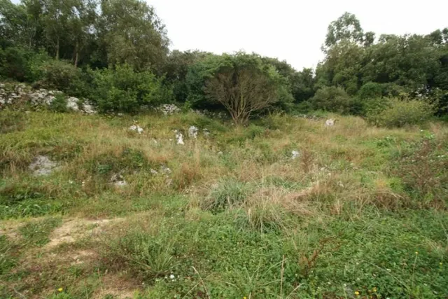 TERRENO URBANO/RUSTICO EN CONCHA - RUILOBA - foto 2