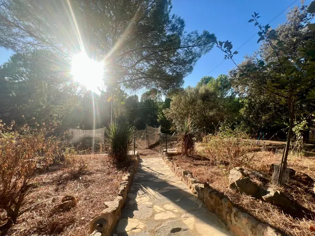 Espectacular finca en Villaviciosa de Córdoba – en pleno corazón de sierra morena — 7