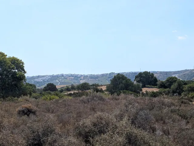 Parcela rústica de 8.023 m2 con vistas al mar en Casares — 5