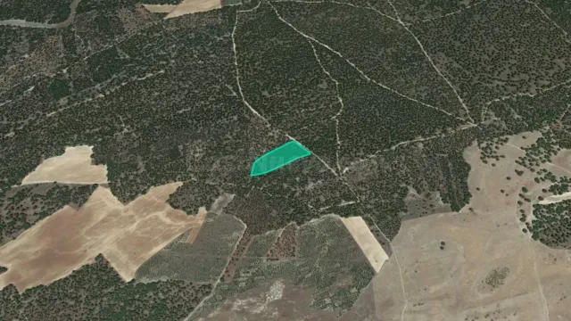 Oportunidad de Inversión: Nuda Propiedad en Suelo Rústico Ag - foto 2