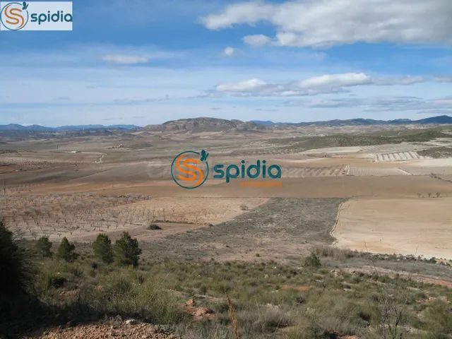 Parcela de 2Ha y 39 Áreas con vistas panorámicas a almendros - foto 3