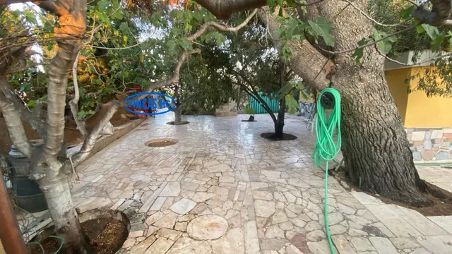 Típica casa tradicional de campo situada sobre terreno URBANO!  de 3900m2 — 9