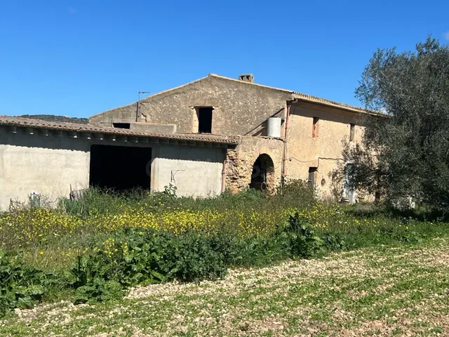 OPORTUNIDAD GRAN FINCA RUSTICA CON CASA TIPICA MALLORQUINA,  - foto 2