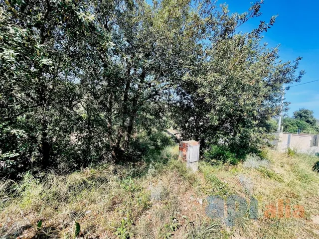 Parcela en Residencial Blanes de 403 m2 - foto 5