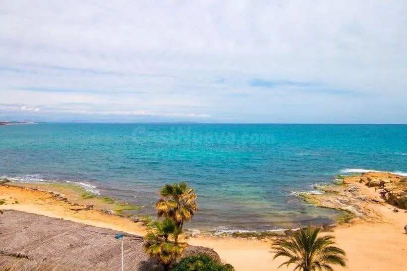 Apartamento 1 habitación 48m² en venta - Cabo cervera