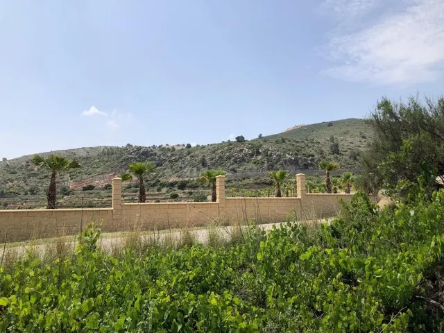 TERRENO EN ASPE — 5