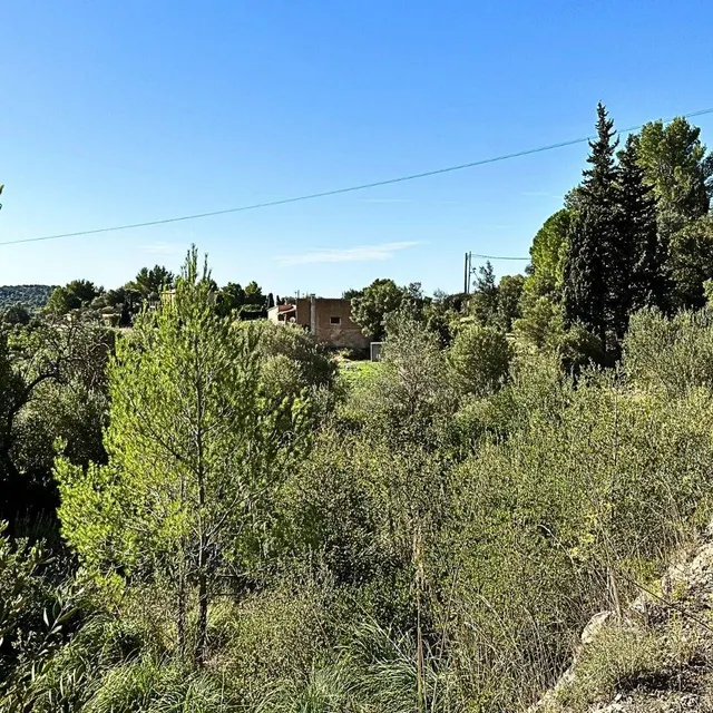 Terreno en Galilea en venta — 4