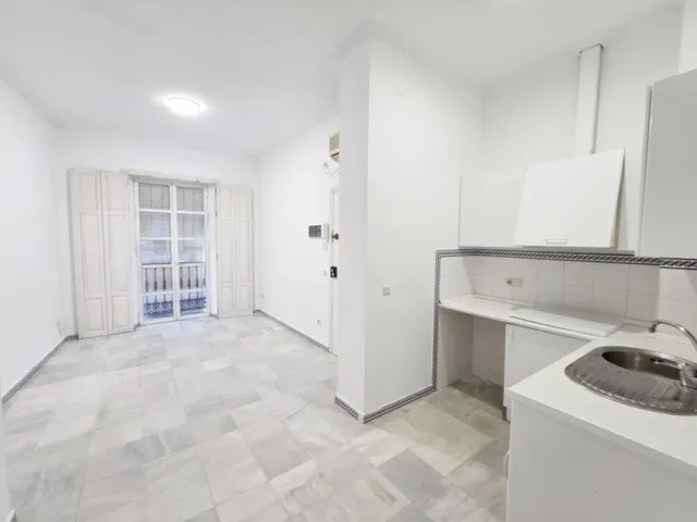Apartamento 1 habitación 48m² en alquiler - Puerta Carmona-Puerta Osario-Amador de los Ríos — 11