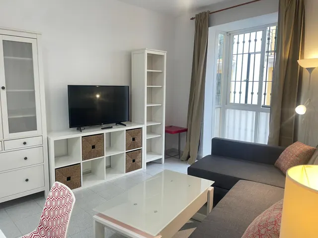 ¡ALQUILER DE APARTAMENTO EN EL CORAZÓN DEL CASCO ANTIGUO DE MÁLAGA! — 11