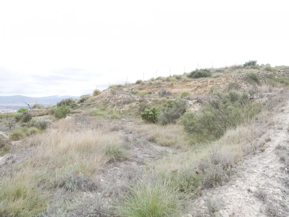 TERRENO RÚSTICO EN LA ZONA DE LA ZAFRA DE MONÓVAR