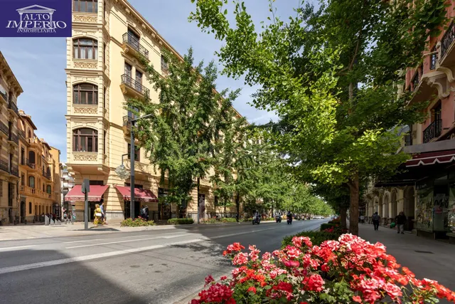 EXCLUSIVA ULTIMA PLANTA CON VISTAS EN GRAN VIA — 5