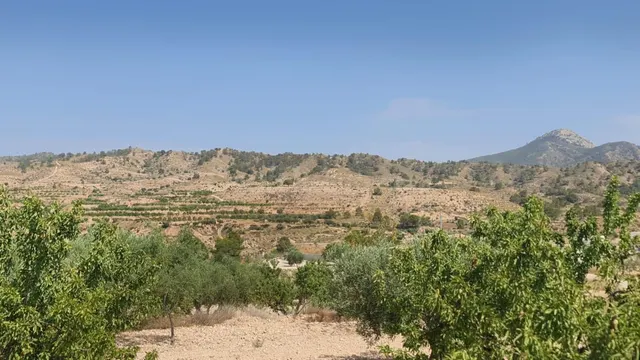 Parcela en venta - Macisvenda - foto 3