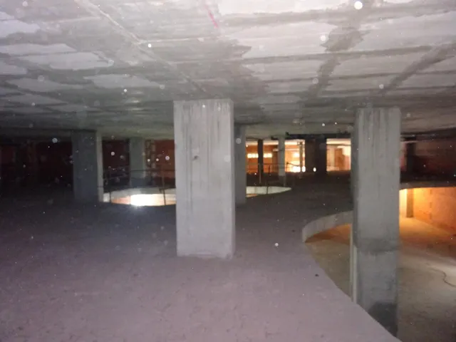 LOCAL COMERCIAL DE 945 M2 EN ZONA PEATONAL — 13
