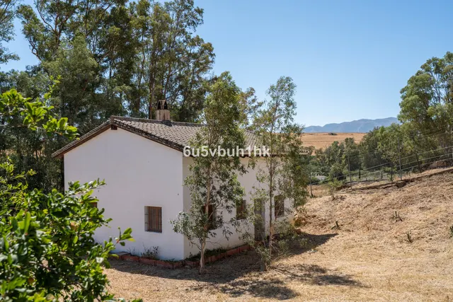 Finca rústica 3 habitaciones 156m² en venta - Centro — 22