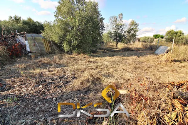 Terreno rústico con 429m2 en la calle molí nou, Vila-real
