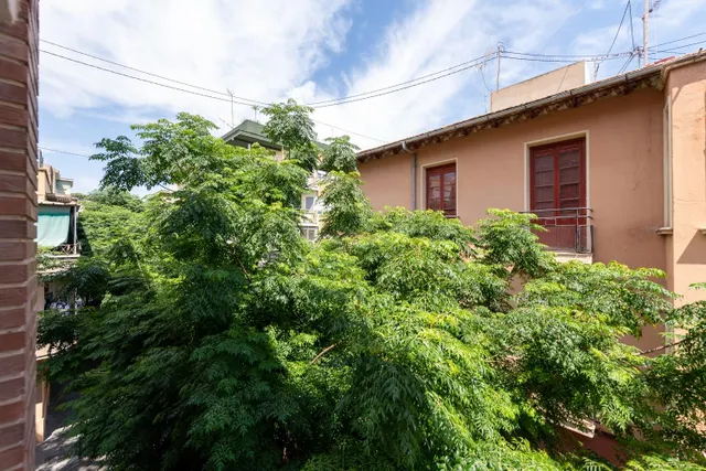 Vivienda en Carolinas Bajas. — 34