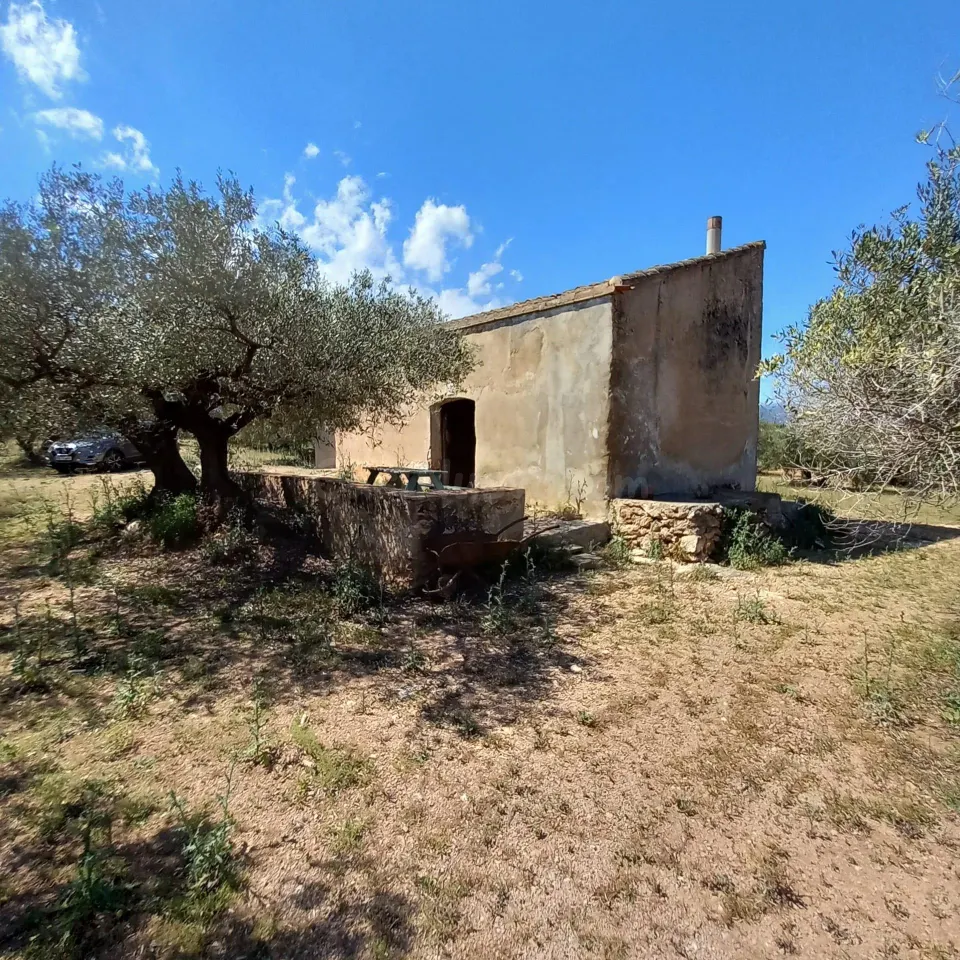 Casa de campo y olivar ecológico certificado.