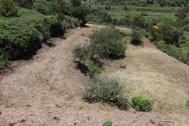 Terreno Agrario en Venta â Zona de Erjos (municipio de Los Silos / El Tanque) — 5