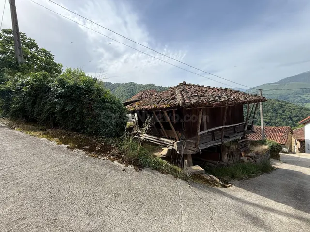 OPORTUNIDA CASA DE PUEBLO CON PANERA , PAJAR Y POSIBILIDAD D - foto 5
