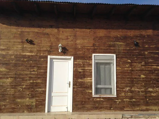 Chalet con terreno plantado — 22