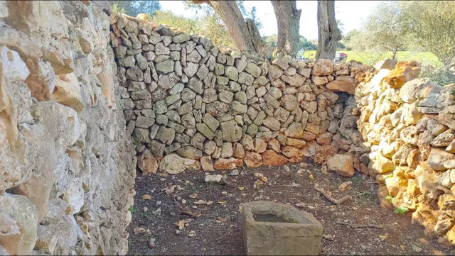 Enorme terreno boscoso con proyecto de un chalet y piscina en Felanitx, Mallorca — 13
