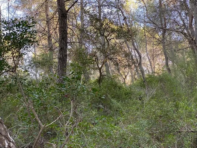 OPORTUNIDAD ENORME TERRENO EN VENTA POR 150.000€ — 18
