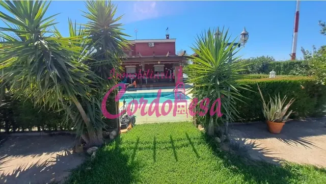 MAGNIFICA VIVIENDA DE 2 PLANTAS CON PISCINA EN ZONA EL HIGUE - foto 3