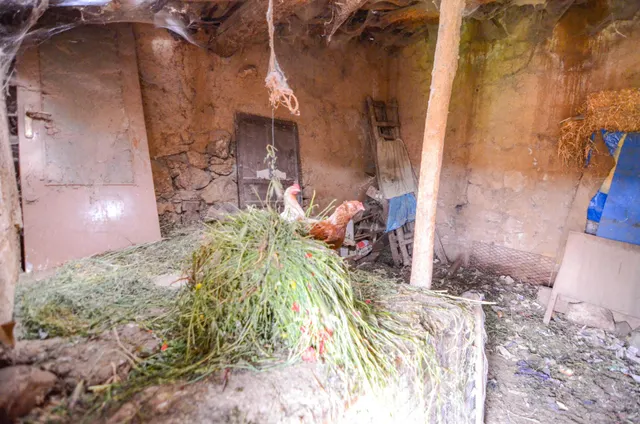 Urbis te ofrece una casa con terreno en venta en Doñinos de Salamanca, Salamanca. — 9